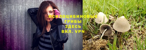 СК Горняк