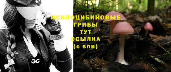 СК Горняк