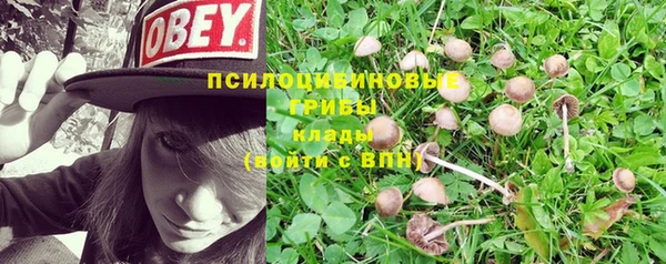 СК Горняк