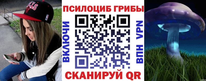 Галлюциногенные грибы прущие грибы  ОМГ ОМГ рабочий сайт  Чистополь 